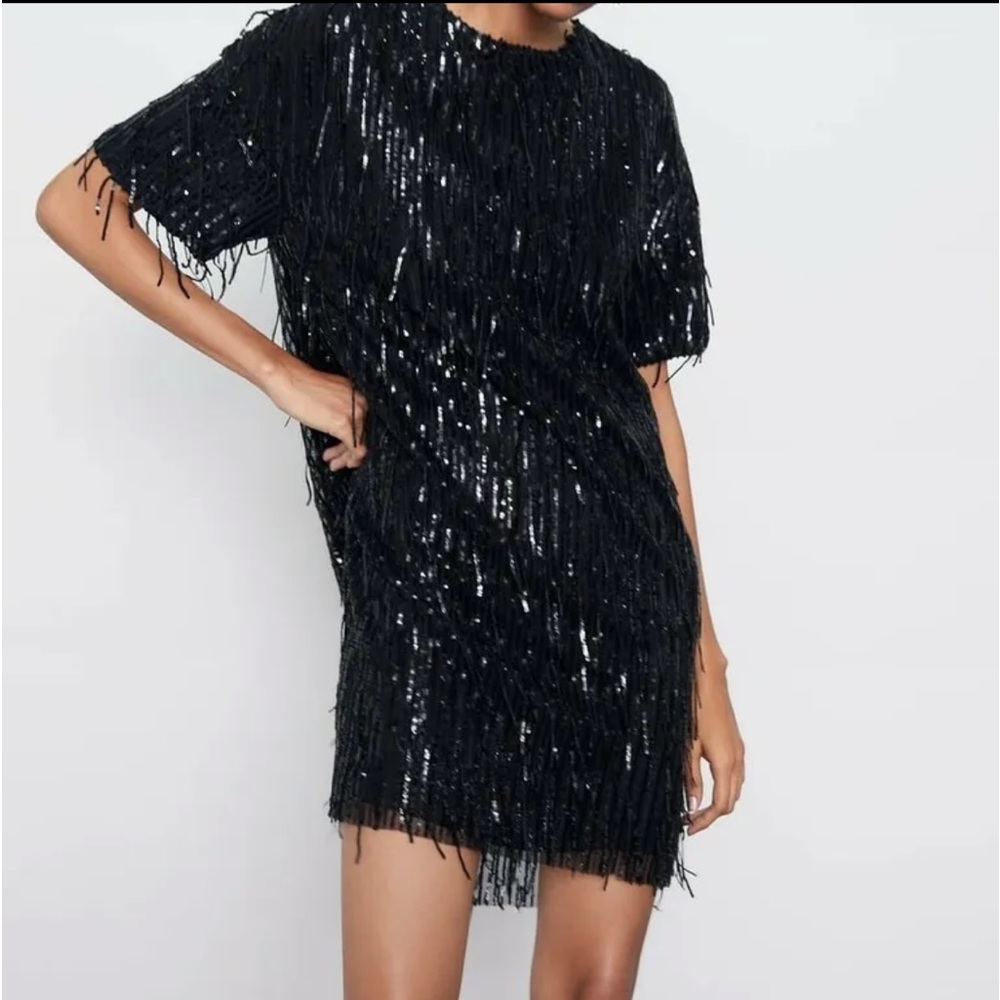 NWT Zara Sequined Fringed Dress